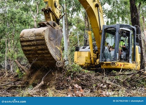 removing trees with a mini excavator|clearing trees with excavator.